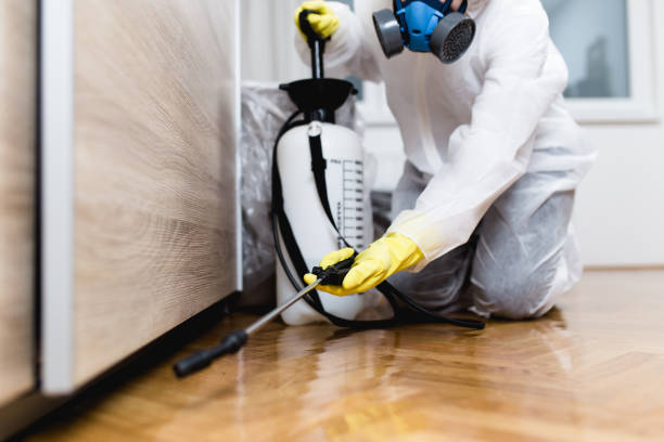 Best Pest Control Near Me  in Lawton, OK