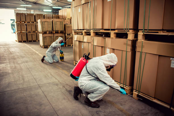 Best Emergency Pest Control  in Lawton, OK