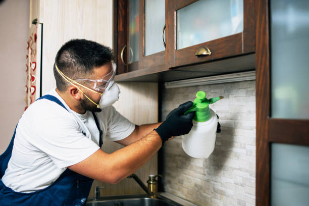 Best Mosquito Control Services  in Lawton, OK