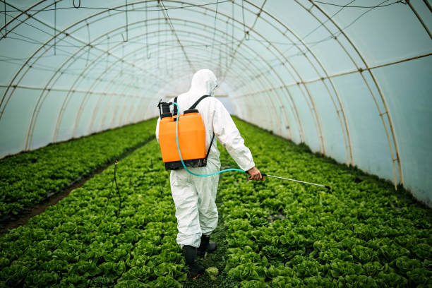Best Best Pest Control Companies  in Lawton, OK