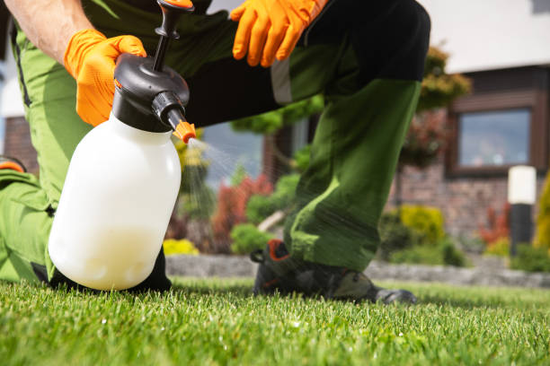 Best Rodent Control Near Me  in Lawton, OK