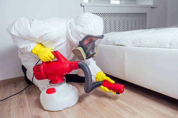 Reliable Lawton, OK Pest Control Solutions