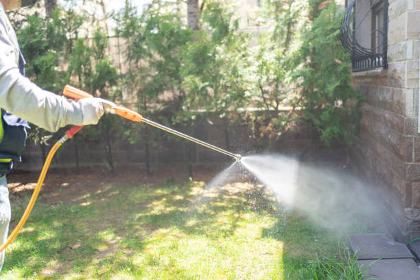 Best Wasp Removal Services  in Lawton, OK