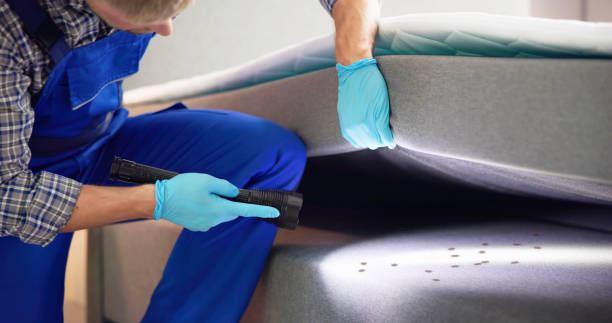 Best Wasp Removal Services  in Lawton, OK