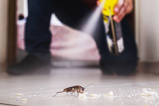 Best Cockroach Control Services  in Lawton, OK