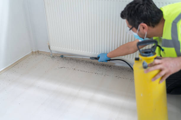 Reliable Lawton, OK Pest Control Solutions