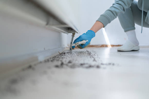Best Best Pest Control Companies  in Lawton, OK